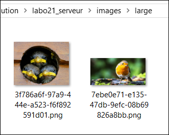 Dossier pour les images