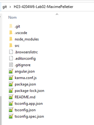 Contenu du projet Angular