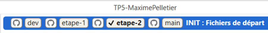 Sous-branches dans dev