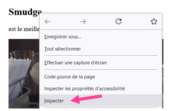 Inspecter