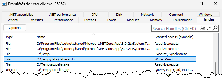 System Informer: fichiers ouverts