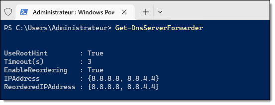 Redirecteurs DNS