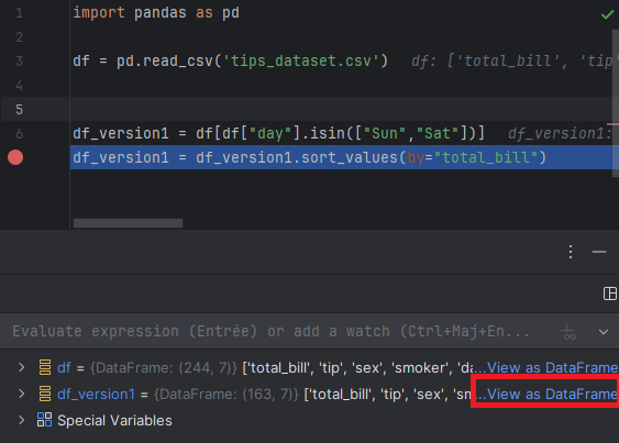 Lien View as DataFrame dans le débogueur PyCharm