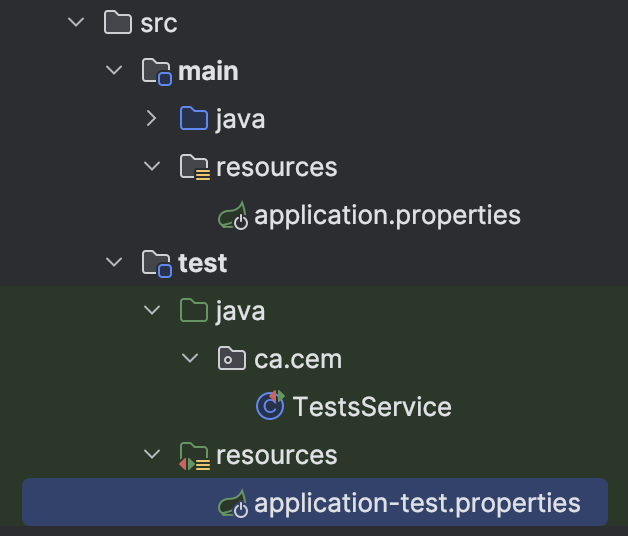 chemin de application-test.properties est src test resources application-test.properties